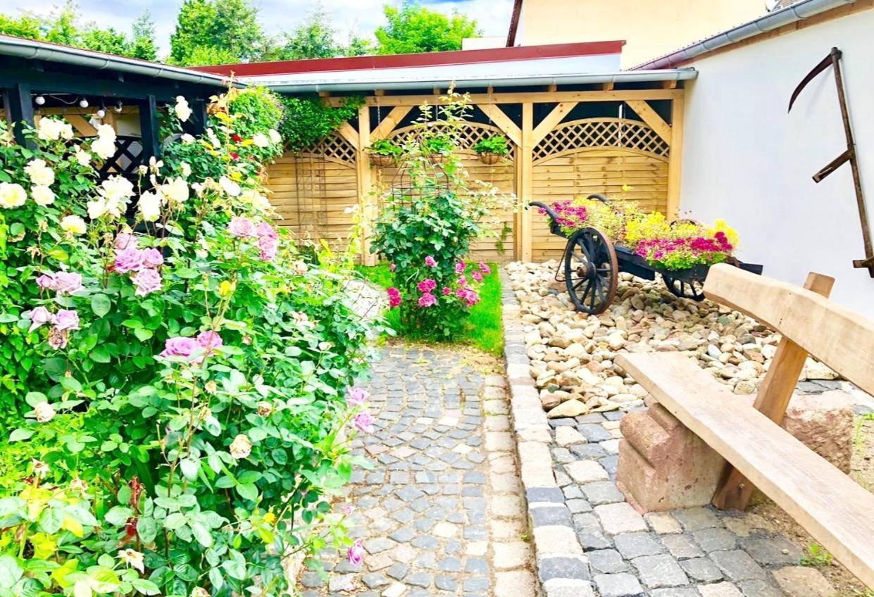 Ferienwohnungen Grimma 3 Экстерьер фото